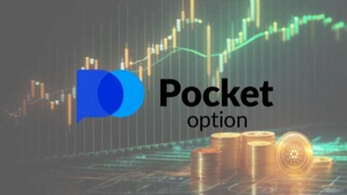 Understanding the Importance of Your Account Pocket Option