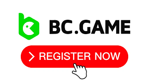 Unlocking Opportunities The Rise of BCGame